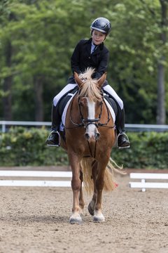 Bild 246 - Pony Akademie Turnier